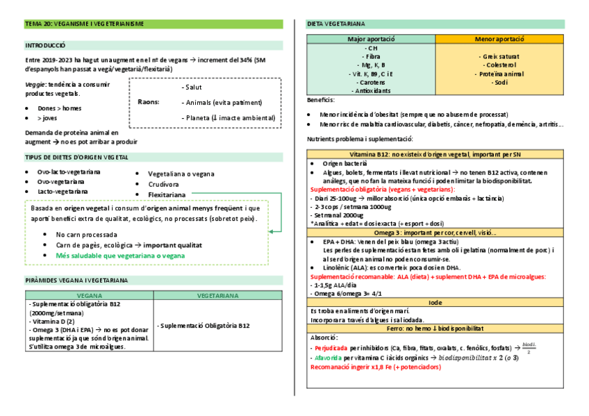 Miniatura del documento Resum t20 veganisme.pdf