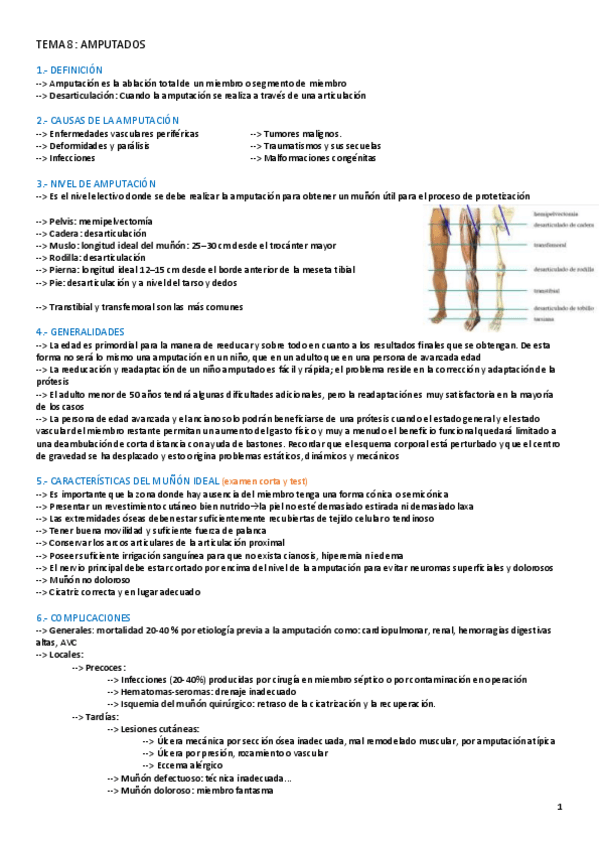 Miniatura del documento TEMA-8-FAL-II.pdf