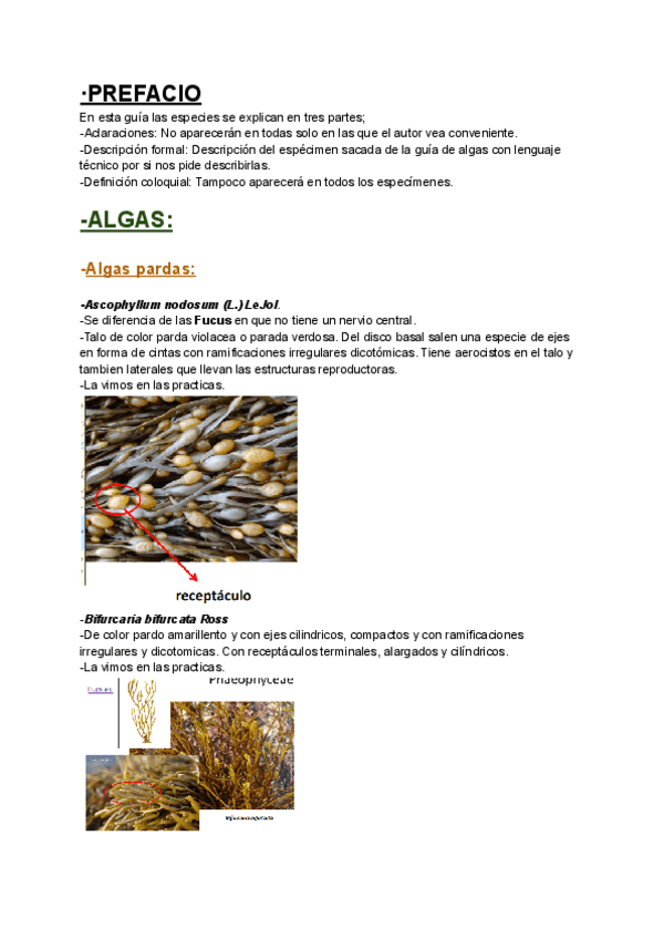 Miniatura del documento Guia-algas-a-reconocer.pdf