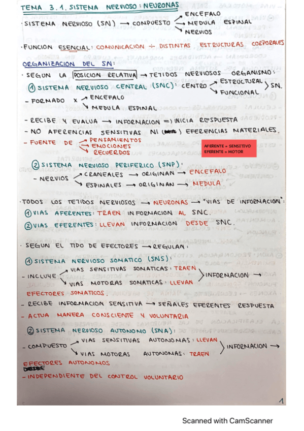 Miniatura del documento TEMA-3.1-FISIO.pdf