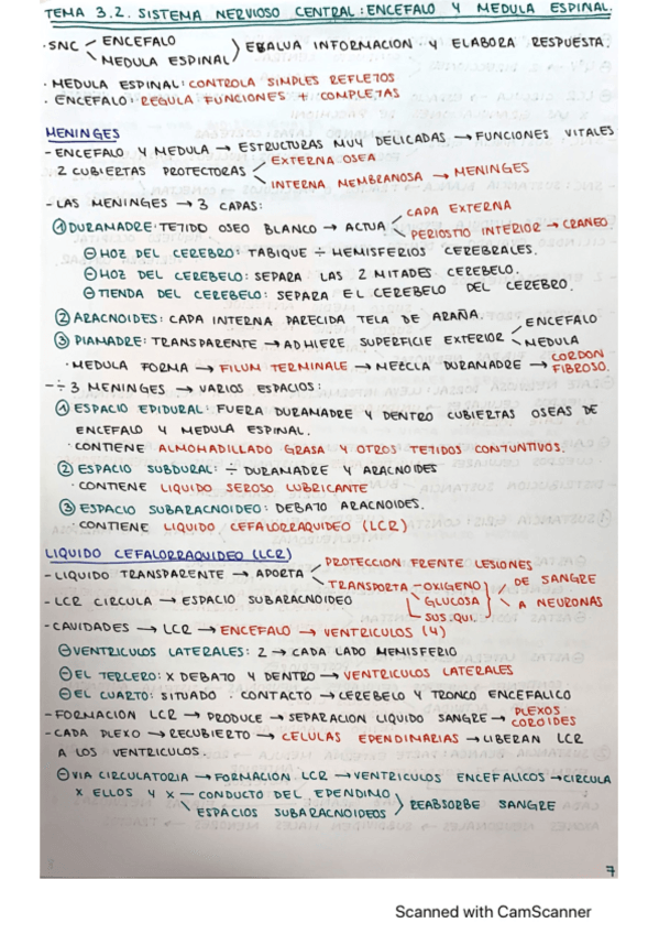 Miniatura del documento TEMA-3.2-FISIO.pdf