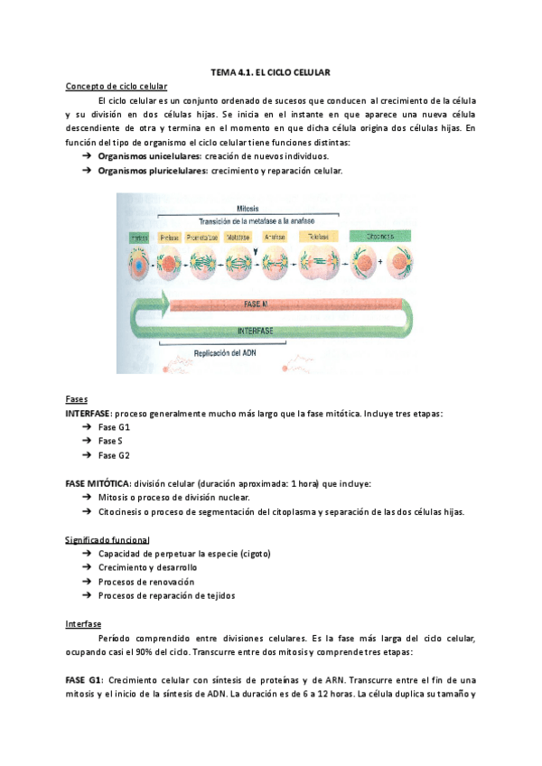 Miniatura del documento TEMA-4.-BIOLOGIA.pdf