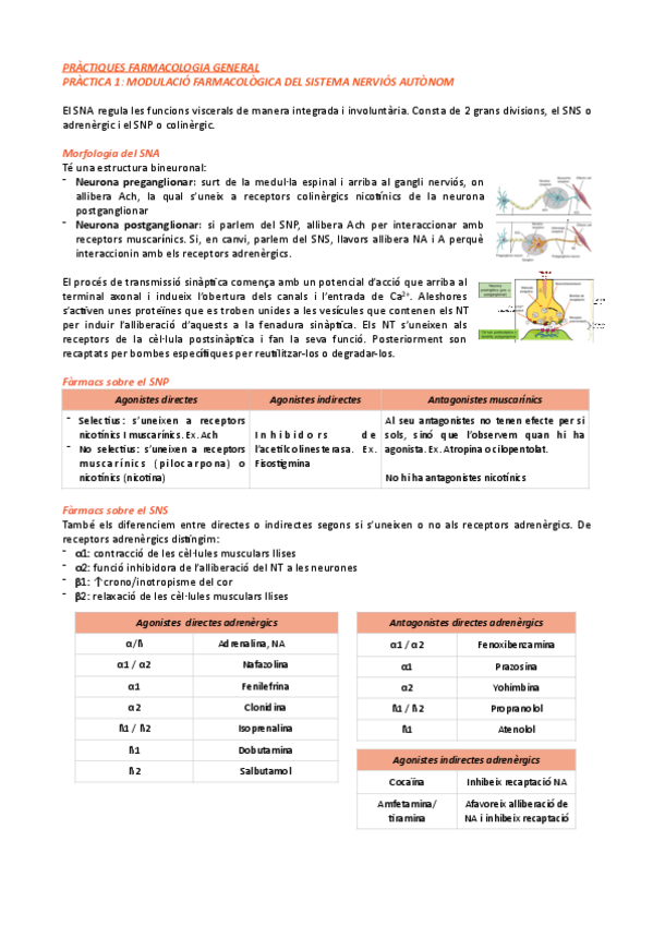 Miniatura del documento Resum-practiques.pdf