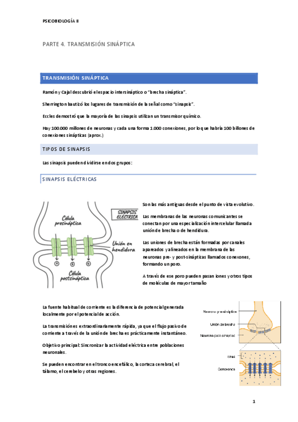 Miniatura del documento TEMA-1-PARTE-4-PSICOBIOLOGIA-II.pdf