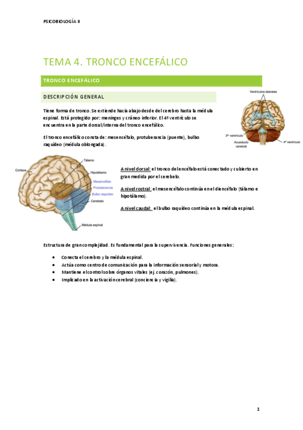 Miniatura del documento TEMA-4-PSICOBIOLOGIA-II-2.pdf