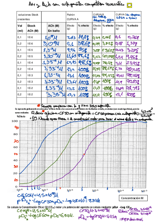 Miniatura del documento IMPRIMIR.pdf
