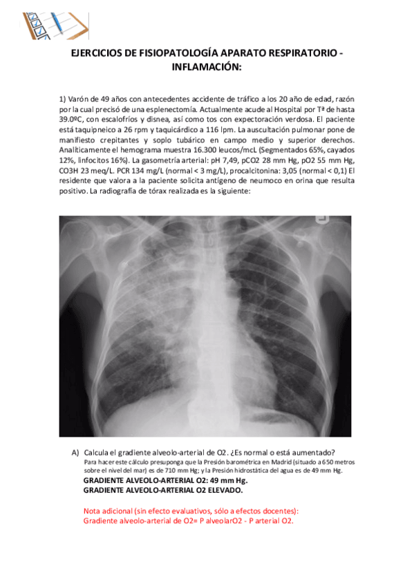 Miniatura del documento Rubrica-respiratorio-e-inf..pdf