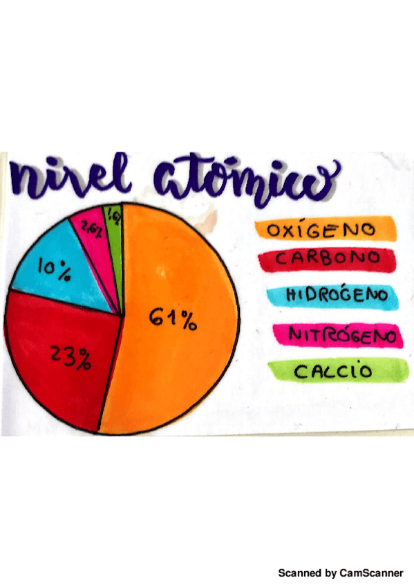 Miniatura del documento Nuevo doc 2018-03-08 13.06.55_20180308191651.pdf