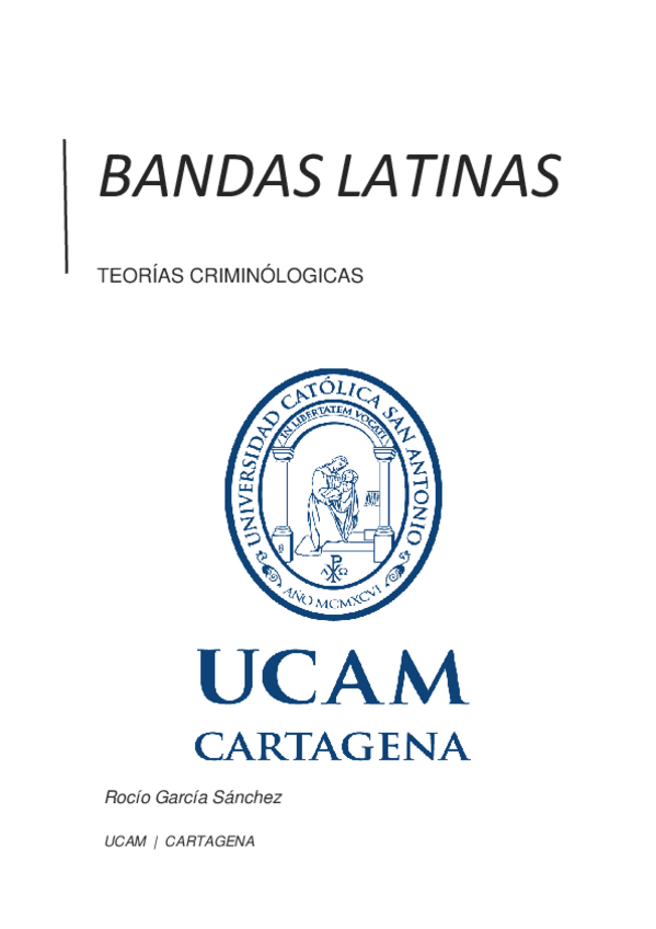Miniatura del documento BANDAS-LATINAS-1-copia.pdf