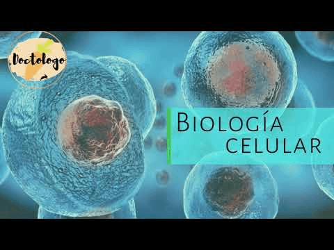 Miniatura del documento https://youtu.be/z5tYSQuKzFY