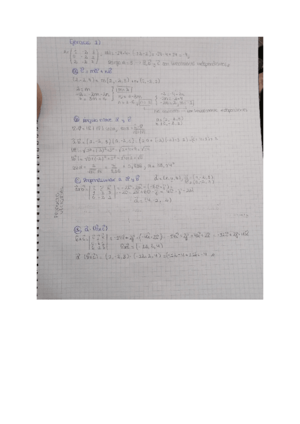 Miniatura del documento Ejercicios-basicos-geometria.pdf