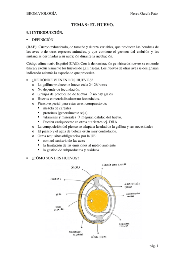 Miniatura del documento TEMA-9-EL-HUEVO.pdf