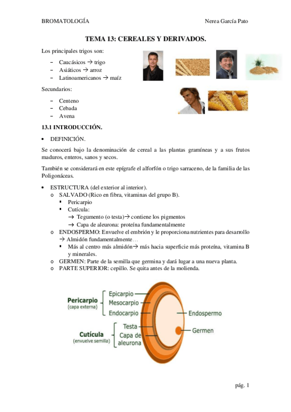Miniatura del documento TEMA-13-CEREALES-Y-DERIVADOS.pdf