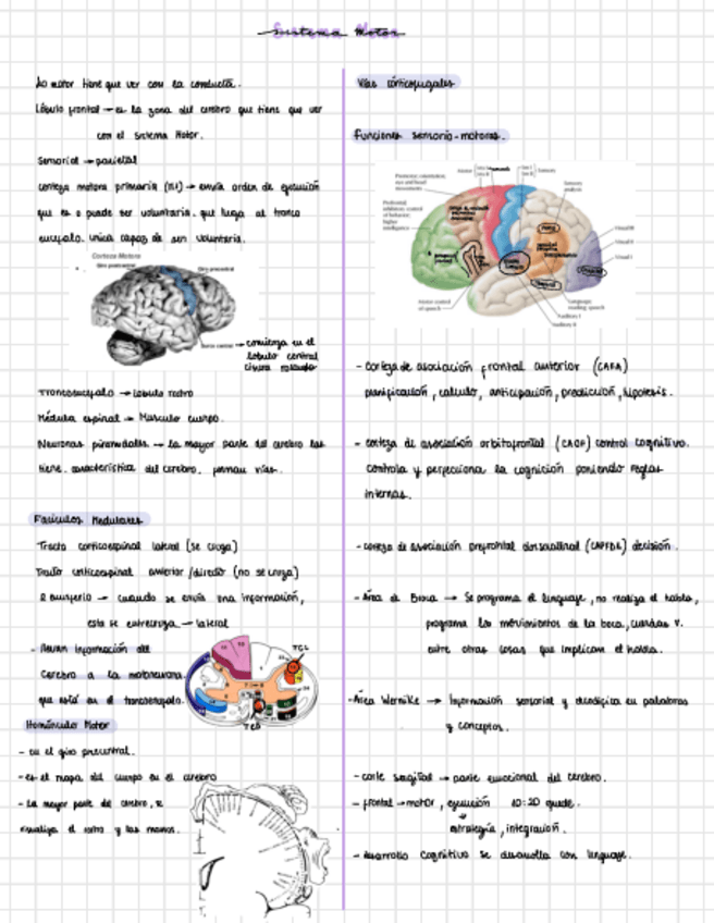 Miniatura del documento Sistema-motor.pdf