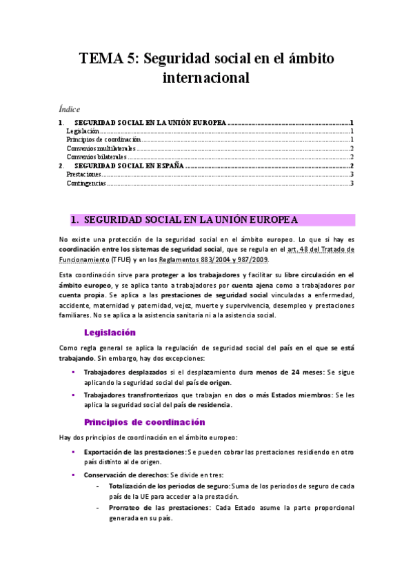 Miniatura del documento TEMA-5-Seguridad-social-en-el-ambito-internacional.pdf