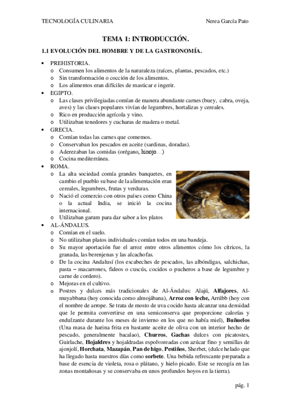 Miniatura del documento TEMA-1.-INTRODUCCION.pdf
