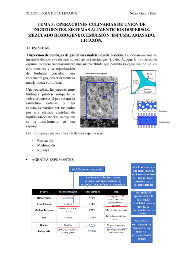 Miniatura del documento TEMA-3.-OPERACIONES-CULINARIAS-DE-UNION-DE-INGREDIENTES.pdf
