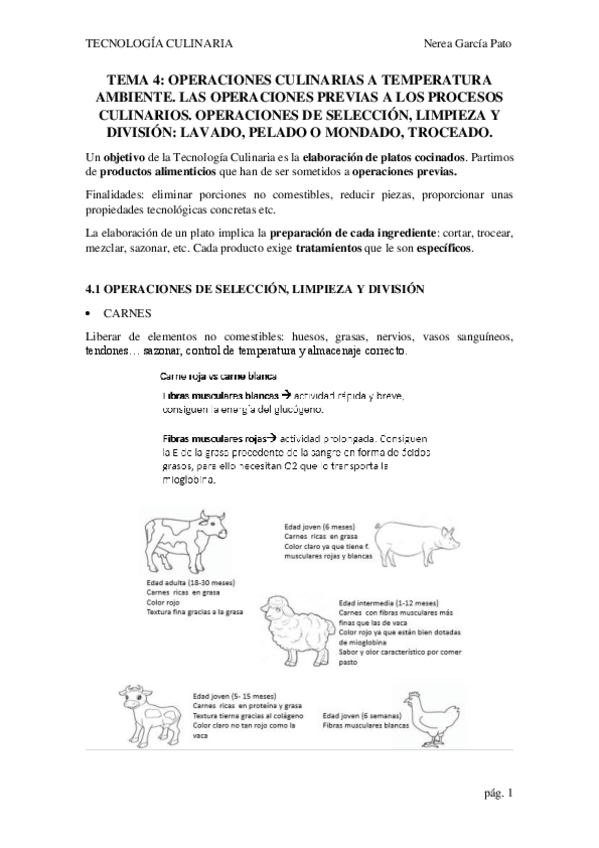 Miniatura del documento TEMA-4.-OPERACIONES-CULINARIAS-A-TEMPERATURA-AMBIENTE.pdf