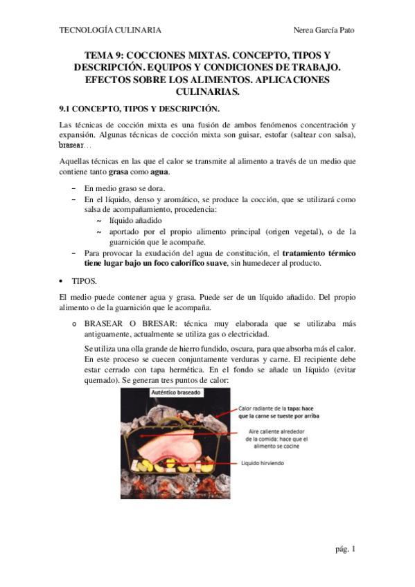 Miniatura del documento TEMA-9.-COCCIONES-MIXTAS.pdf