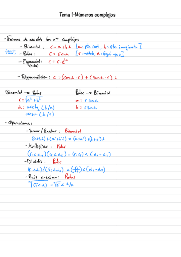 Miniatura del documento Apuntes-de-Principios-Fisicos.pdf