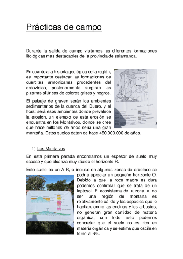 Miniatura del documento Practica-de-campo.pdf