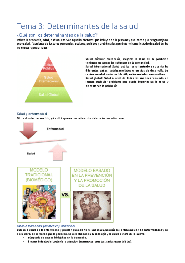 Miniatura del documento Tema-3-salud-publica-alex.pdf