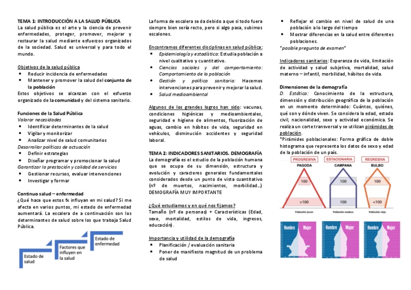 Miniatura del documento RESUMEN.pdf
