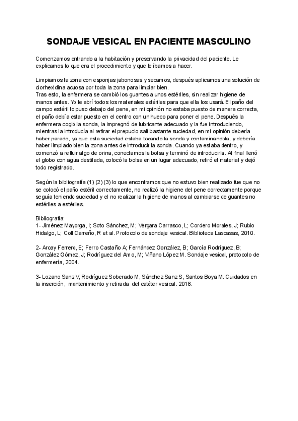 Miniatura del documento Diario-de-campo-SONDAJE-MASC.pdf