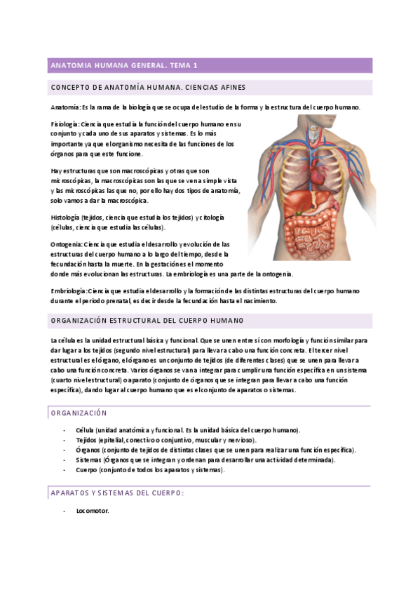 Miniatura del documento ANATOMIA-HUMANA-Y-GENERAL-ENTERO.pdf