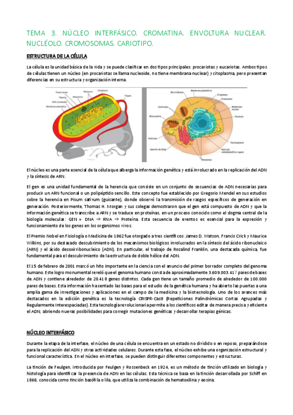Miniatura del documento TEMA-3..pdf