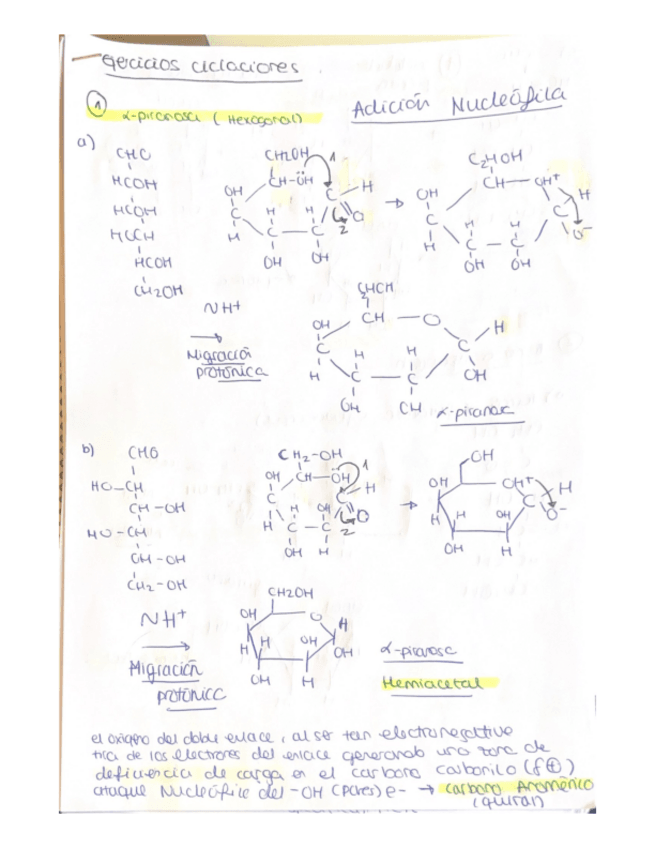 Miniatura del documento SOLUCIONES-EJERCICIOS-CICLACIONES.pdf