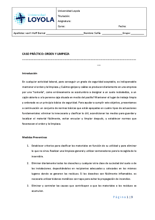 Miniatura del documento parcial-caso-practico.pdf