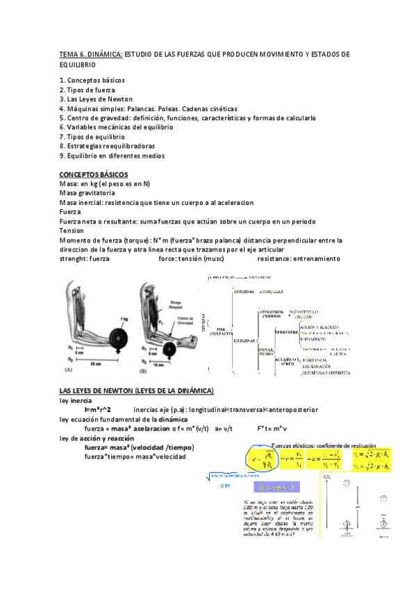 Miniatura del documento TEMA-6-apuntes.pdf