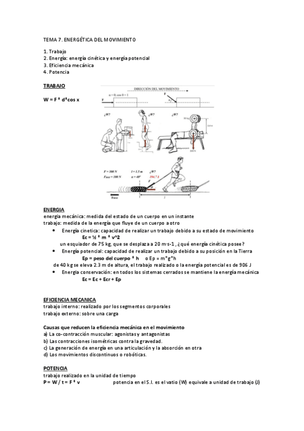 Miniatura del documento TEMA-7-apuntes.pdf