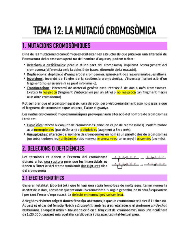 Miniatura del documento Tema-12-La-mutacio-cromosomica.pdf