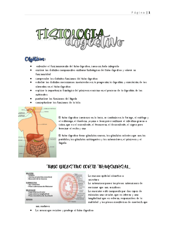 Miniatura del documento digestivo.pdf
