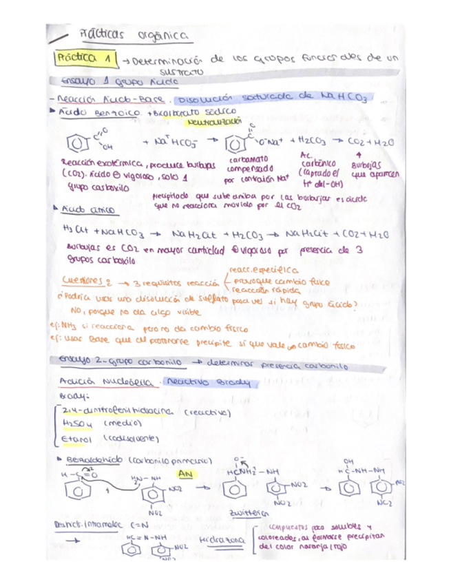Miniatura del documento RESUMEN-PRACTICAS-QUIMICA-ORGANICA-P.1-P.2-P.3.pdf