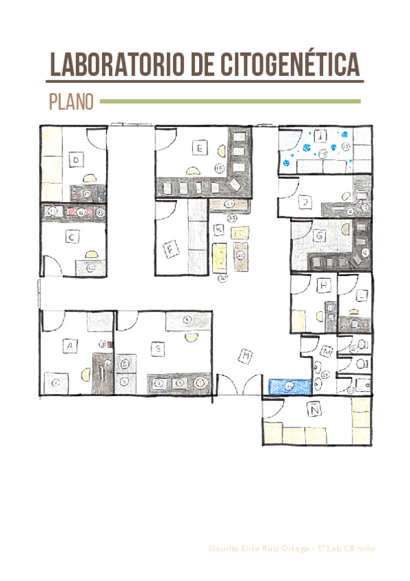 Miniatura del documento LABORATORIO-DE-CITOGENETICA.pdf