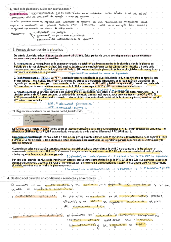 Miniatura del documento RESPUESTAS-T4-6.pdf