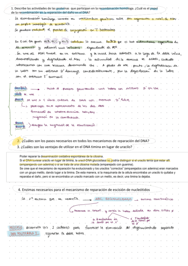 Miniatura del documento RESPUESTAS-T1-3.pdf