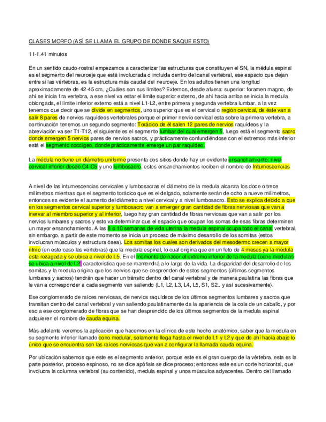 Miniatura del documento 06-MEDULA.-Ballesteros.pdf
