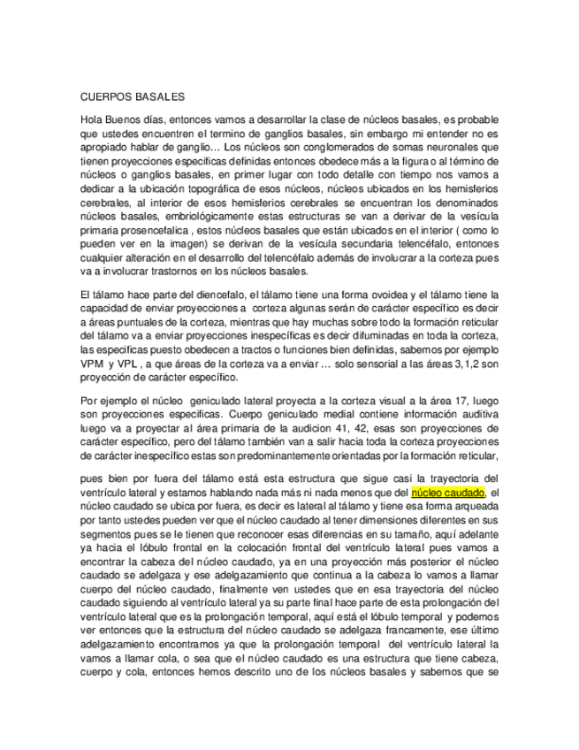 Miniatura del documento copia-nucleos-basales.pdf
