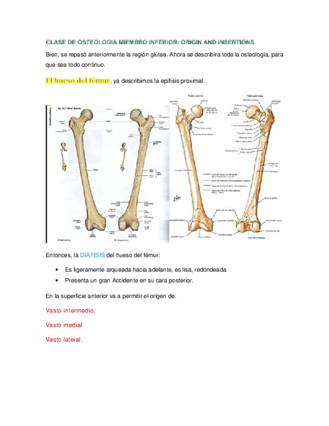 Miniatura del documento 19-OSTEOLOGIA-MIEM-INFERIOR.-Ballesteros.pdf