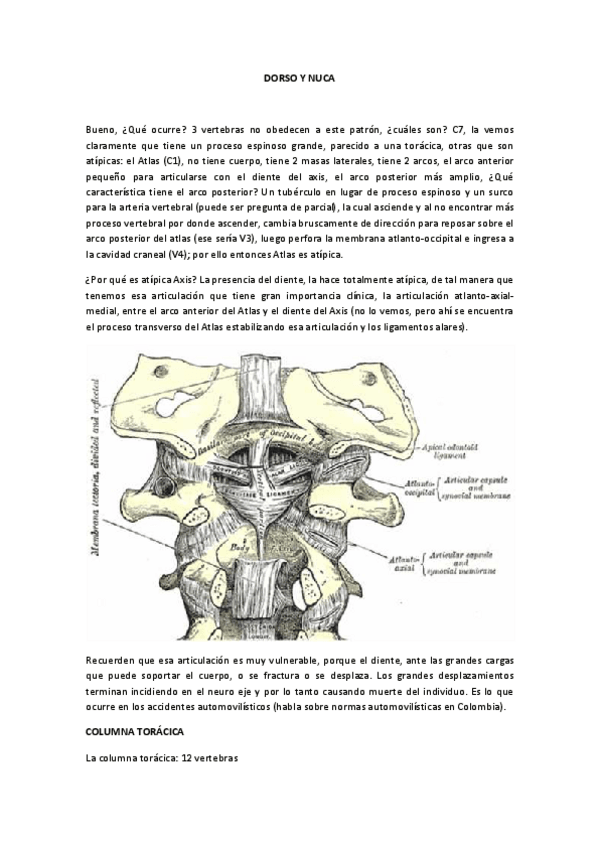 Miniatura del documento 05-DORSO-Y-NUCA.-Ballesteros.pdf