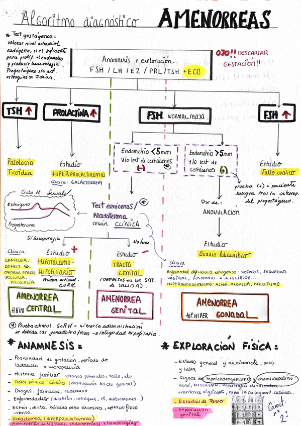 Miniatura del documento DIAGNOTICO-DIFERENCIAL-AMENORREAS.pdf