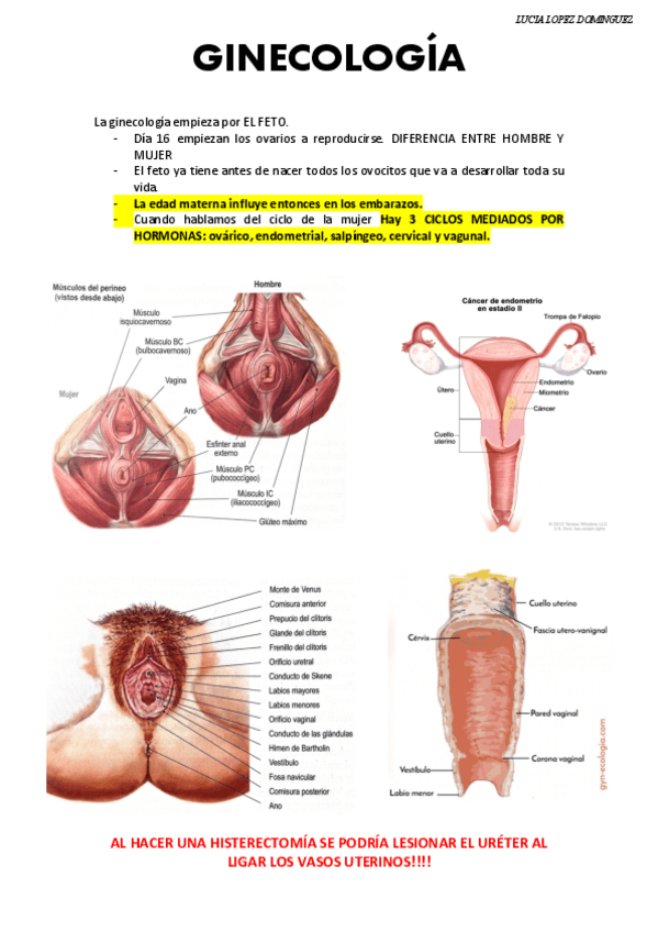 Miniatura del documento GINECOLOGIA-INTRO--IMPO.pdf