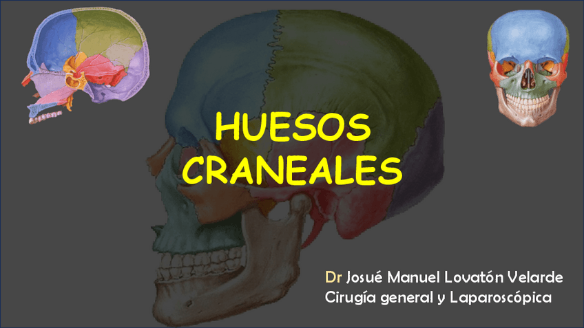 Miniatura del documento 1.-HUESOS-CRANEO.pdf