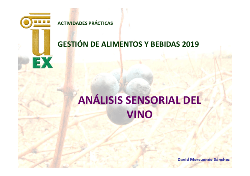 Miniatura del documento vinos.pdf