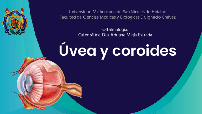 Miniatura del documento Uvea-y-coroides.pdf