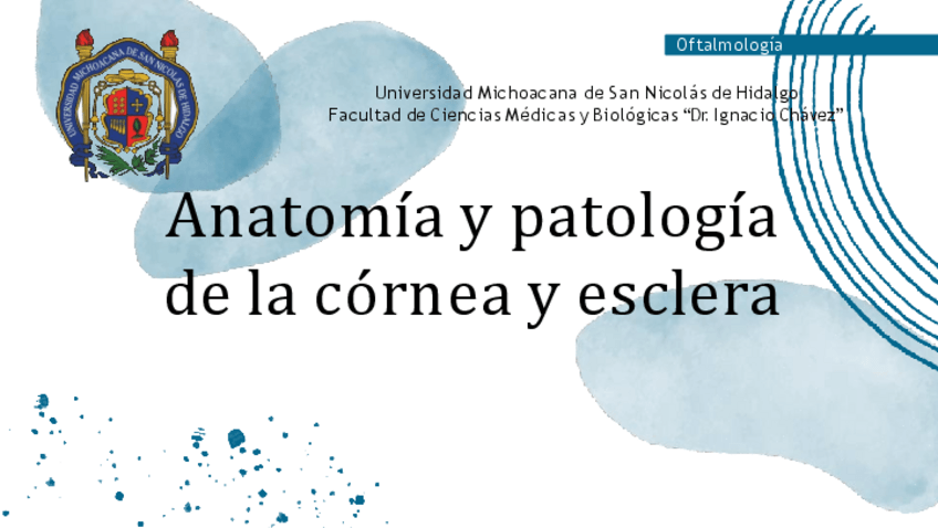 Miniatura del documento Anatomia-y-patologia-de-cornea-y-esclera.-Oftalmologia.-Homero-y-Mikha.pdf